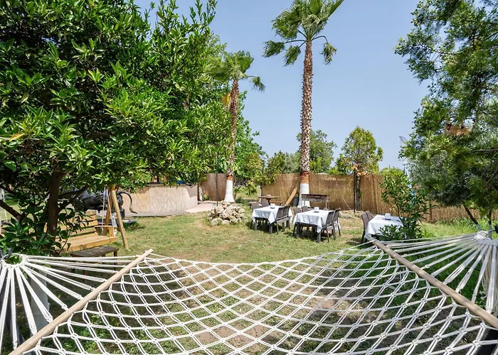 Hotel Moda Camyuva